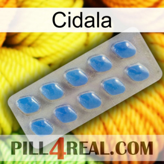 Cidala 22